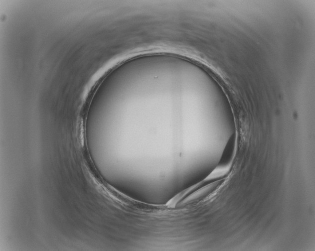 X0000078831510200611271244