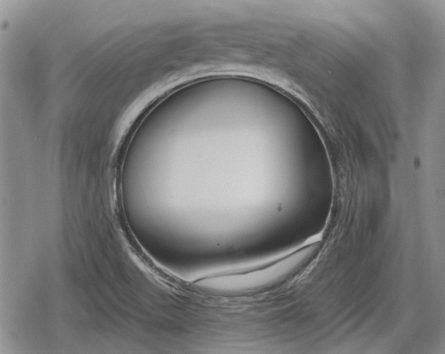 X0000078831511200611271244