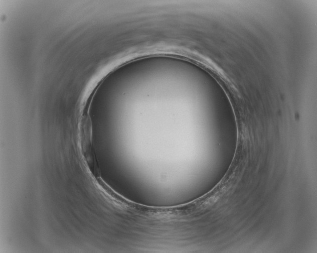 X0000078831512200611271244