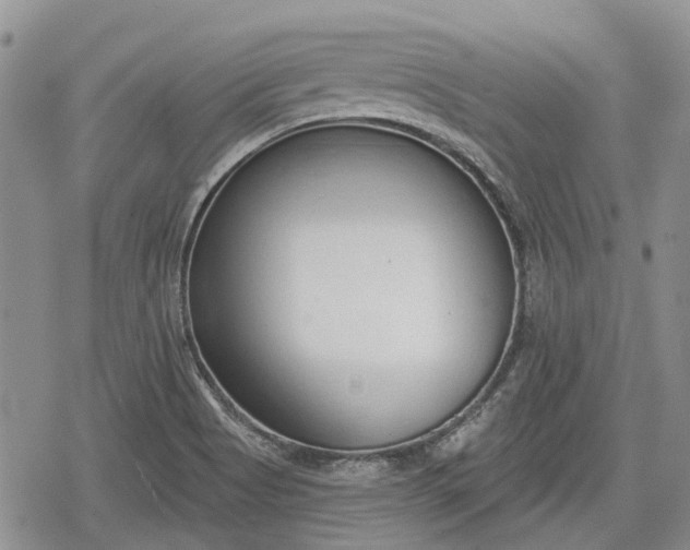 X0000078831513200611271244