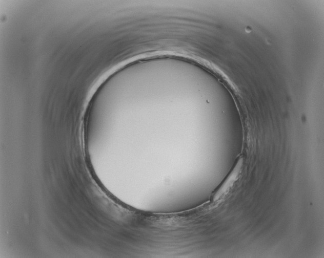 X0000078831516200611271244