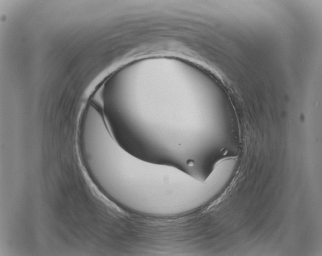 X0000078831518200611271244