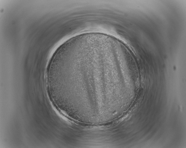 X0000078831519200611271244