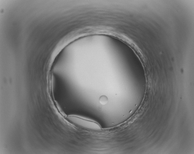 X0000078831520200611271244