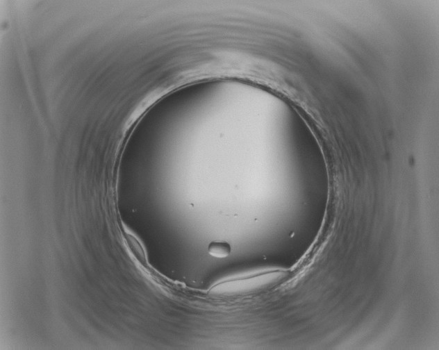 X0000078831521200611271244