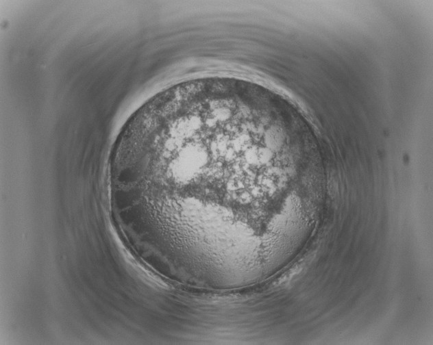 X0000078831522200611271244