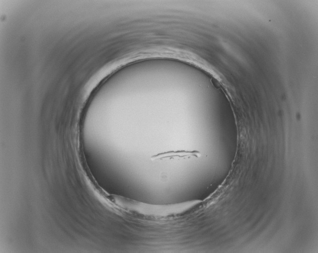 X0000078831523200611271244