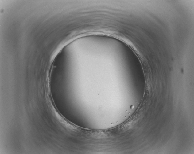 X0000078831524200611271244