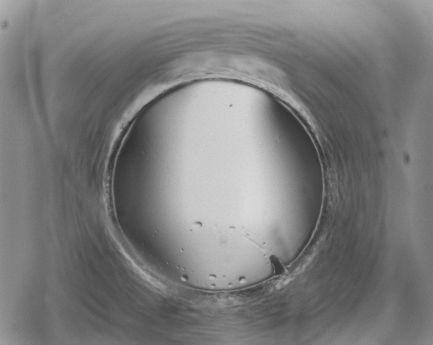 X0000078831525200611271244