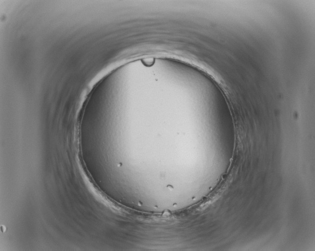 X0000078831526200611271244