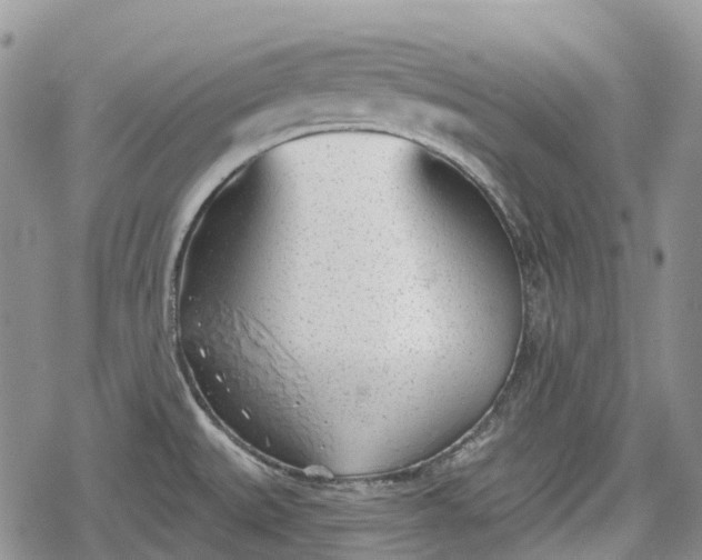 X0000078831527200611271244