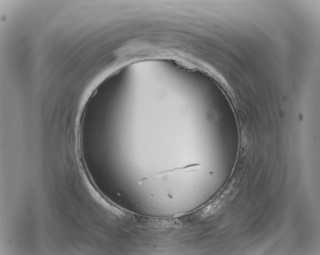 X0000078831528200611271244