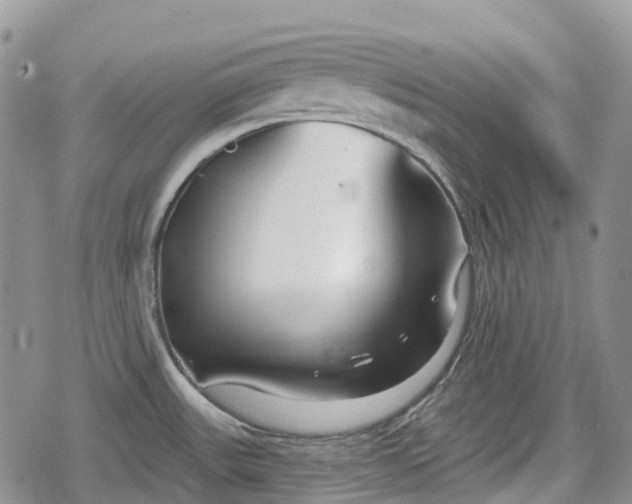 X0000078831531200611271244