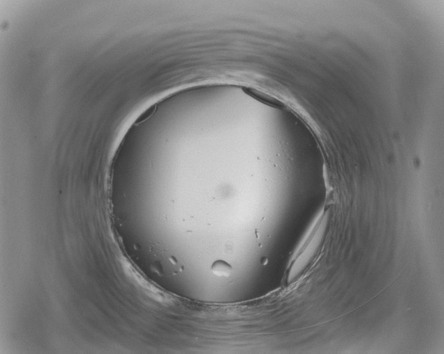 X0000078831532200611271244