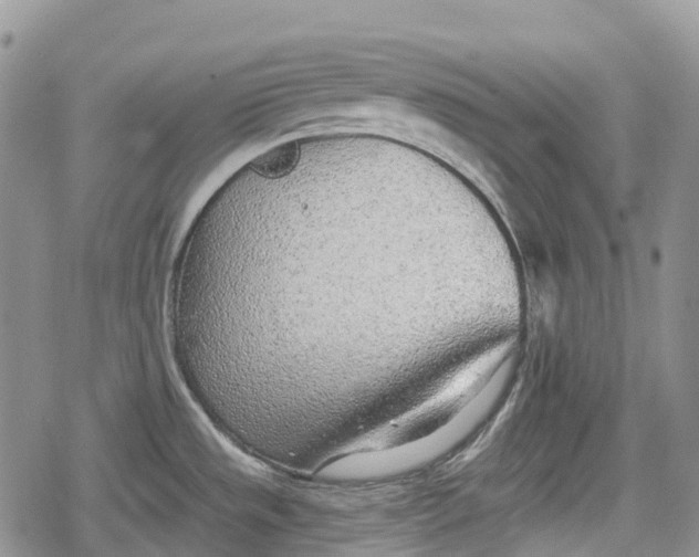 X0000078831533200611271244