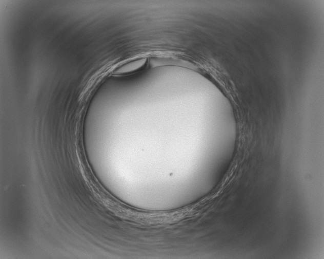 X0000078830001200612041825