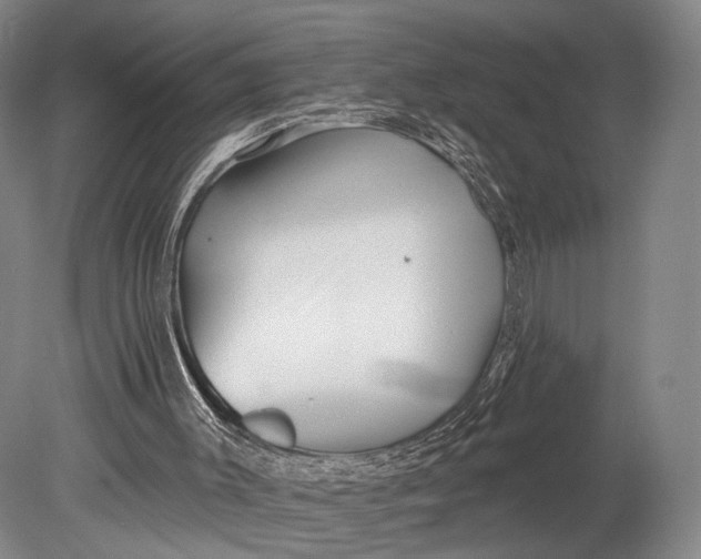 X0000078830003200612041825