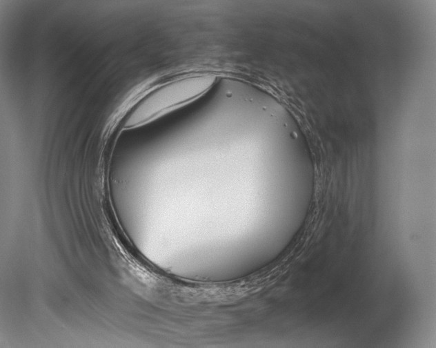 X0000078830005200612041825