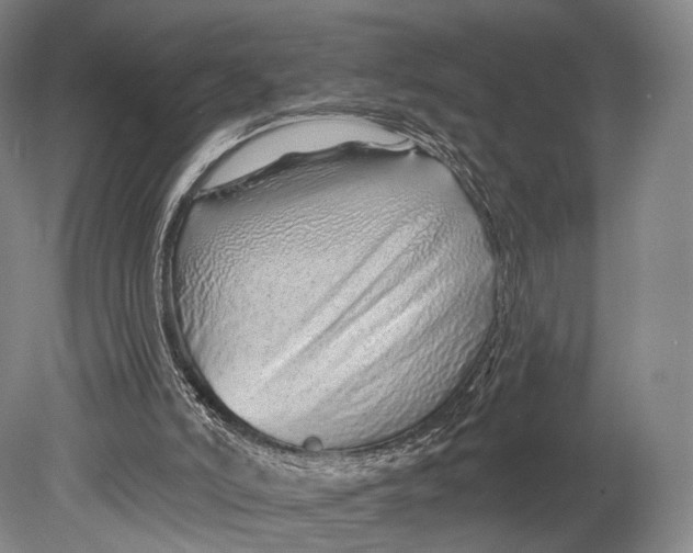 X0000078830006200612041825