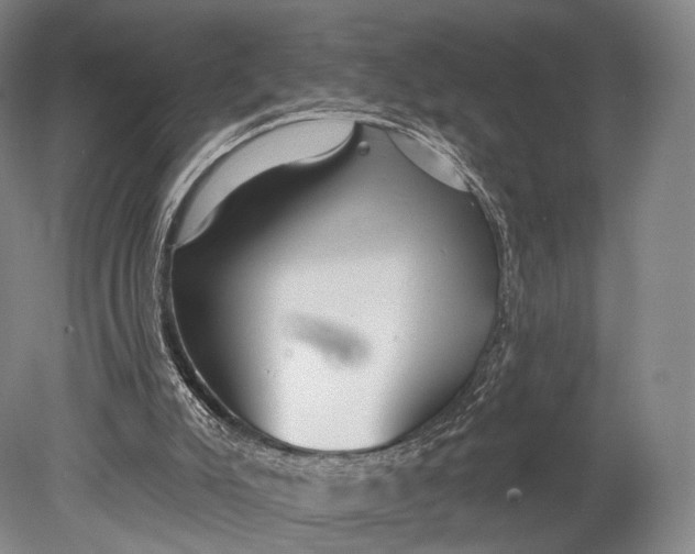 X0000078830007200612041825