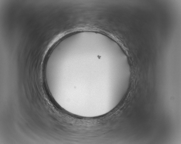 X0000078830008200612041825