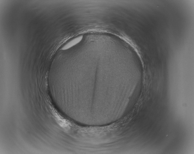 X0000078830009200612041825