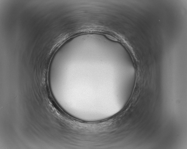 X0000078830010200612041825