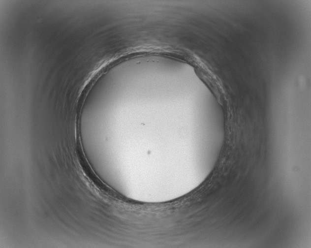 X0000078830011200612041825