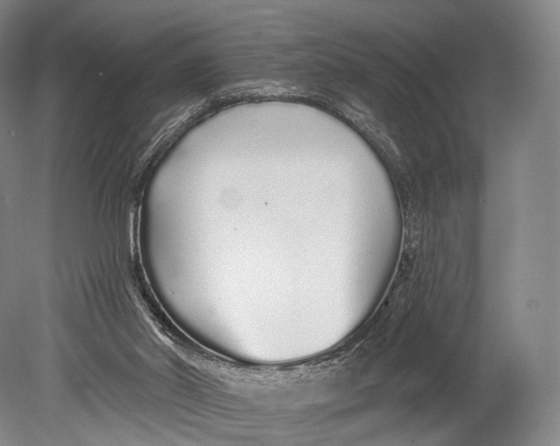 X0000078830014200612041825