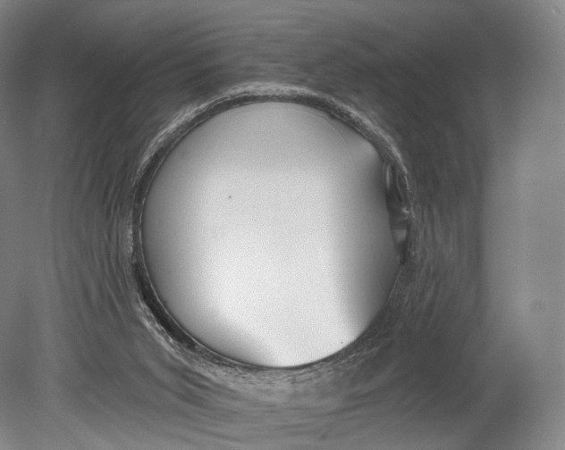 X0000078830015200612041825