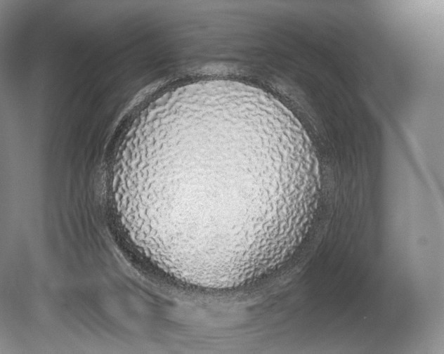 X0000078830016200612041825