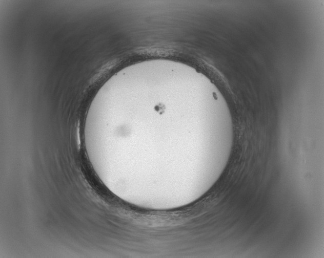 X0000078830020200612041825