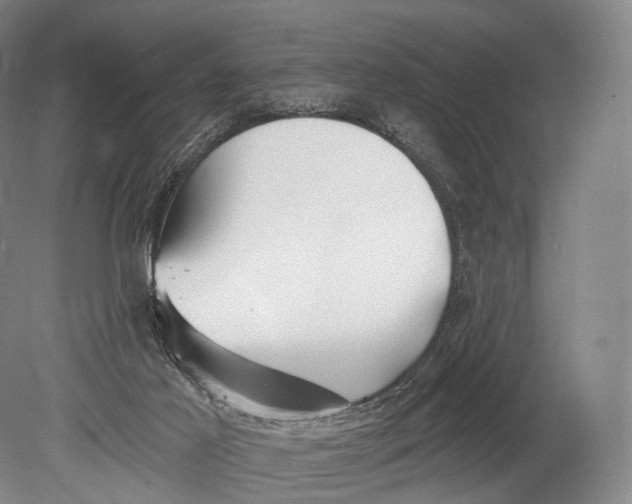 X0000078830021200612041825