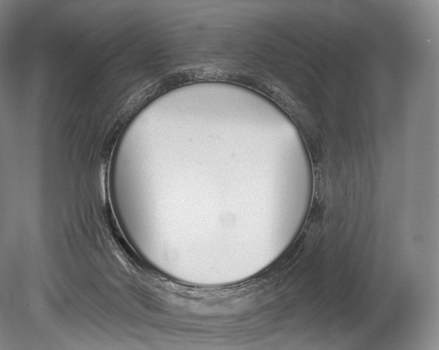 X0000078830022200612041825