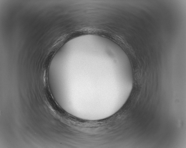 X0000078830024200612041825