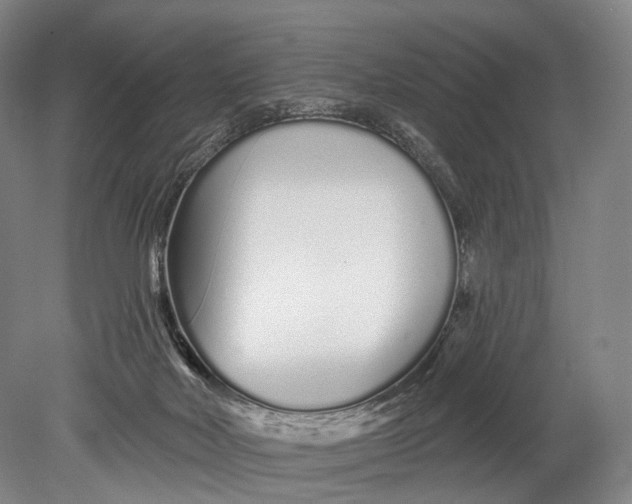 X0000078830026200612041825