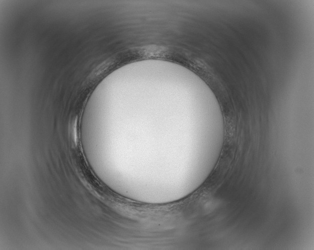 X0000078830028200612041825