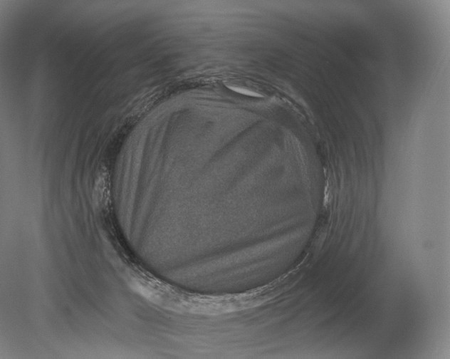 X0000078830029200612041825