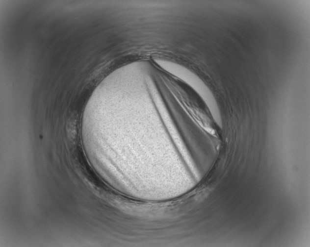 X0000078830032200612041825