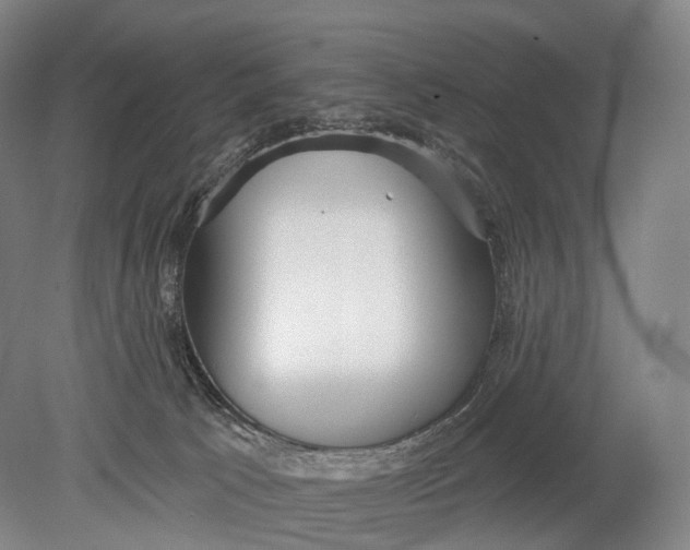 X0000078830033200612041825