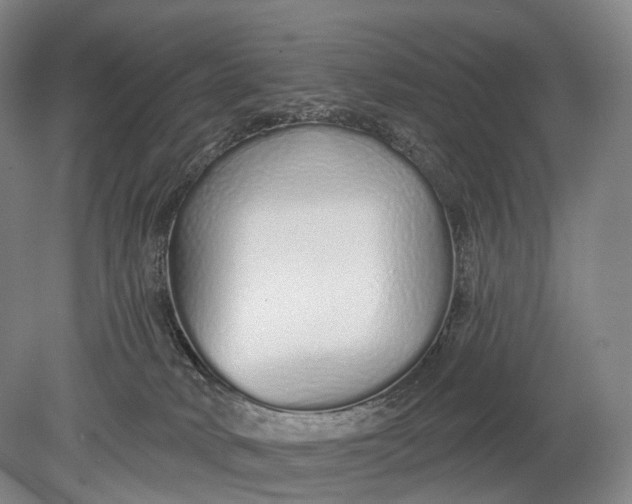 X0000078830034200612041825