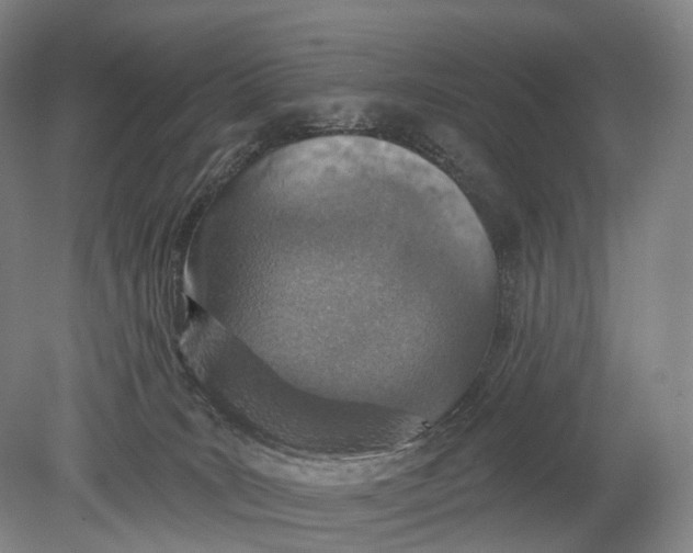 X0000078830035200612041825