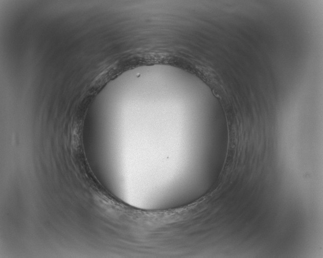 X0000078830037200612041825