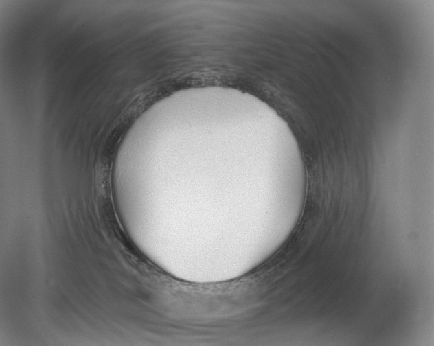 X0000078830038200612041825