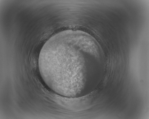 X0000078830039200612041825