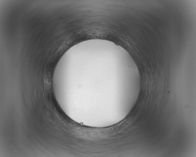 X0000078830040200612041825