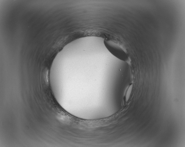 X0000078830041200612041825