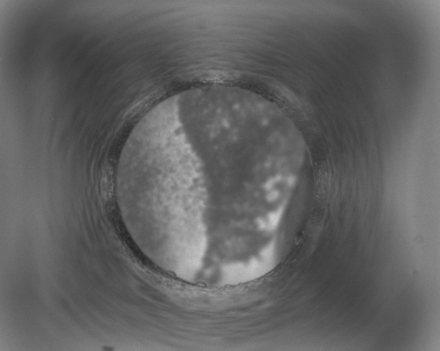 X0000078830043200612041825