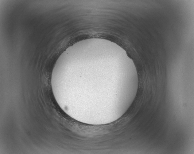 X0000078830044200612041825