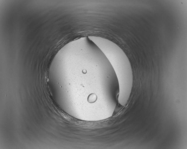 X0000078830045200612041825